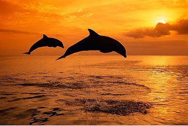 《女神异闻录3：Reload》使用D加密 PC配置公布